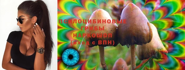 2c-b Верхний Тагил