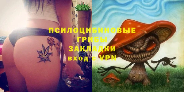 2c-b Верхний Тагил