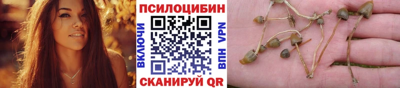 Псилоцибиновые грибы Magic Shrooms  купить   Ясногорск 